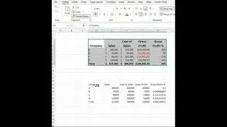 Format Painter in Excel