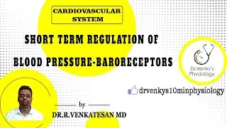 Short term Regulation of Blood Pressure - Baroreceptors