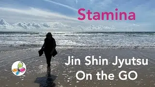 Jin Shin Jyutsu On the Go | Stamina
