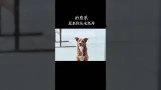 无论你变成什么样子，一眼我就能认出你