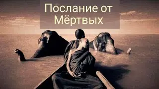 Послание из мира Мертвых⚡🥀🌪️🌈☄️