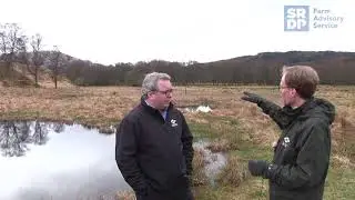 The benefits of wader scrapes in an upland farm