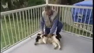 How To Build A Fibreglass Deck
