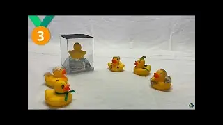 Patoterapia