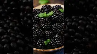 Еживика вкусная и полезная Ягодка #еживика #ягоды #лес#витамины #дарылеса #топ