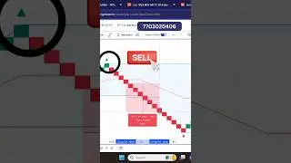 New Renko Chart Paid Strategy Free Now | For 100% Accurate Entry And Exit |