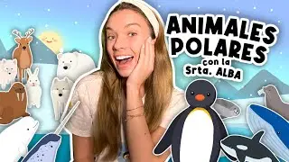 Polar Animals for Babies | Learn with Miss Alba | Polar Animals for Toddlers in Spanish