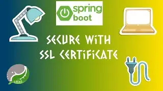 10. SPRING BOOT : SECURE WITH SSL CERT