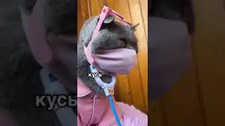 Привет, лечу всё  #tiktok тик ток приколы