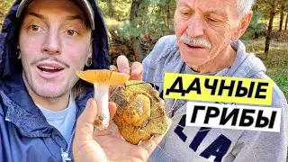 ГРИБОЛОВЛЯ С РОДИТЕЛЯМИ НА ДАЧЕ!