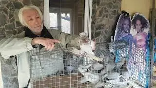 Подбор пар и мероприятия перед паровкой.