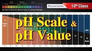 PH scale and pH value  ||  Physical Science 10 th class  ||  by Scientia Tutorials