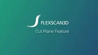 FlexScan3D 3D Scanning Software: Cut Plane Feature