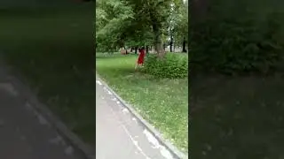 Сегодня у Рэкса день рождения ему исполнилось 2 года. И мы гуляем с Рэксом.