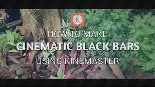 How to make cinematic black bars in your video using Kinemaster on Android