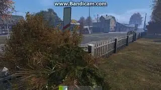 DayZ