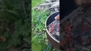 Испытание Мангала