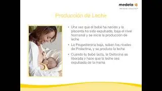 Lactancia Materna Clase 4 - ¿Cómo Funciona la Lactancia  4⧸10