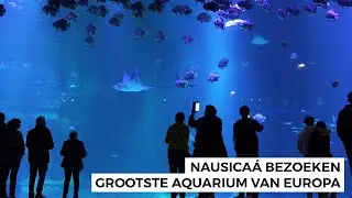 Nausicaá Aquarium in Boulogne-sur-Mer bezoeken