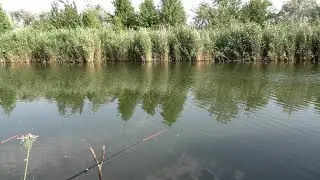 Поездка на Рыбалку!!! / Уха из петуха в казане на костре!!!