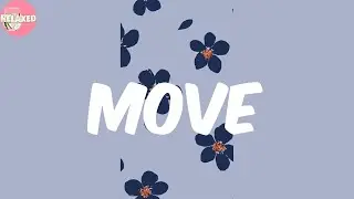 Move - Stefflon Don (Lyrics)