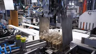 Multi-head weigher, VFFS, Wrap Around case packer, and palletizer