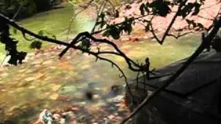 Isuzu Trooper Creek Crossing