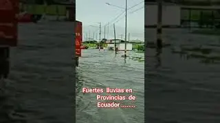 #lluvias-fuertes#Ecuador#PROVINCIA#TIEMPO-D3-LLUVIA.