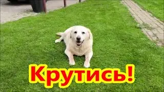 Вот так надо!