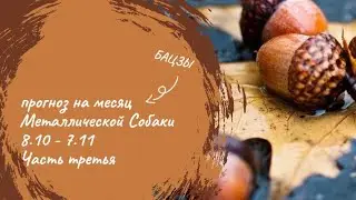 Прогноз на месяц Металлической Собаки 8.10 - 7.11 | часть третья