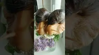 Two snails eating on glass