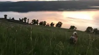Западносибирская лайка