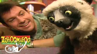 🐒 Zoboomafoo 120 - Animal Daycare | HD | Full Episode🐒