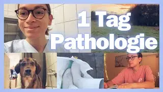 Praktikum in der Pathologie  // Tiermedizin Vlog🐱❤️ (Rotation)
