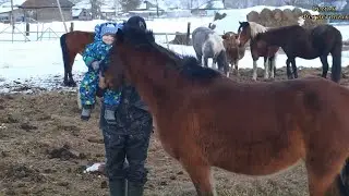 Куда пропали? Много нового.Нужный заказ из магазина Грандсток // Семья Фетистовых