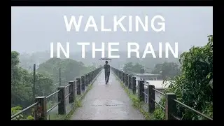 Walking in The Rain. മഴയിലൂടെ നടക്കൽ. #മഴ #Rain