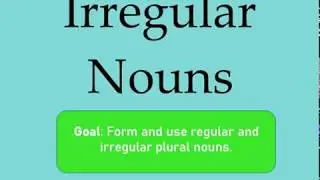 Irregular Nouns Mini Lesson (L.3.1.b)