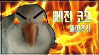 삐진코코 풀어주기