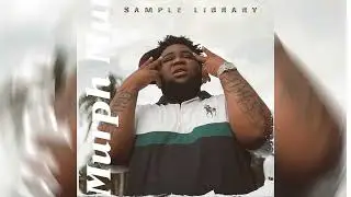 NEW Loopkit - ROD WAVE "Beautiful Mind" - (NoCap, Toosii) Piano/Guitar Sample Pack