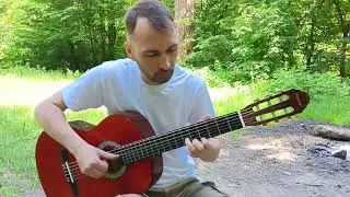 Гаї шумлять - Пиріг і Батіг (фінгерстайл кавер на гітарі)