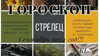 Гороскоп-Стрелец сентябрь 2024!!!