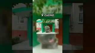 Я сигма 