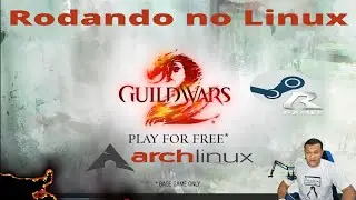 Guild Wars 2 Steam + Linux.