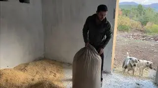 MAGNUMUN AHIRINI HAZIRLADIM PROFESYONEL AT BAKIMI