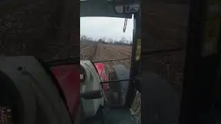 Dönerli #AydınPulluk ve #Massey #Ferguson #5613 #dyna6 ile keyifli çift sürümü