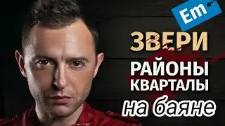 "РАЙОНЫ-КВАРТАЛЫ" на БАЯНЕ🔥🔥🔥! Из репертуара группы "Звери".