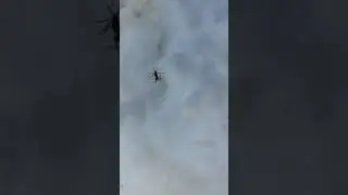 7 января 2021 г.