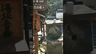 鹿教湯温泉と小諸城址懐古園2023/4/15