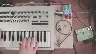 Korg Minilogue Patch #12