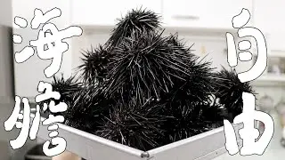 海膽季！海膽自由的感覺！｜RICOの食材圖鑑